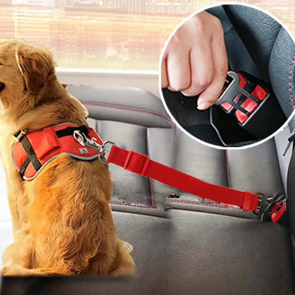 Cinturón De Seguridad para Mascotas