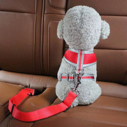 Cinturón De Seguridad para Mascotas